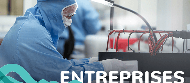 Newsletter ECO - Entreprises