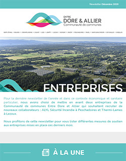 Newsletter Entreprises - Décembre 2020