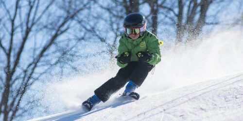 Emploi :  Recherche animateur/trice pour séjour ski