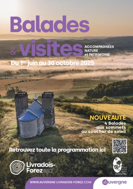 Balades guidées : laissez-vous surprendre cet été sur Entre Dore et Allier