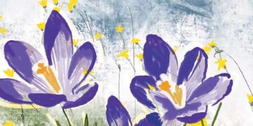 découvrez la nouvelle programmation du réseau des médiathèques