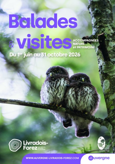 Balades nature et patrimoine sur Entre Dore et Allier